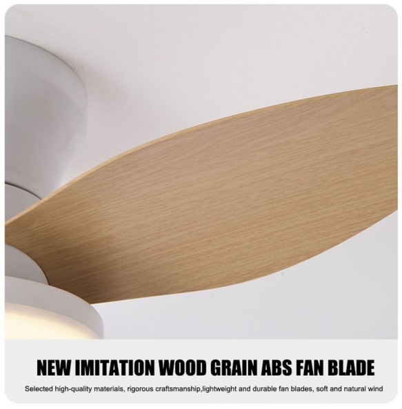 New ceiling fan with light casa inteligente socket fan light ventilatore da soffitto con luce de techo con luz silenciosos led cold