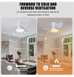 New ceiling fan with light casa inteligente socket fan light ventilatore da soffitto con luce de techo con luz silenciosos led cold