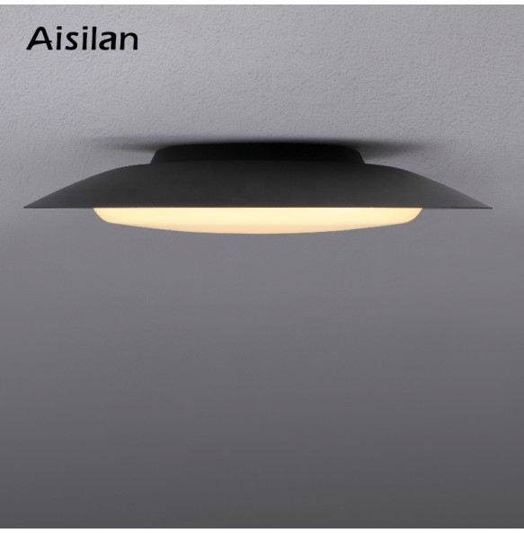 New Modern LED Ceiling Light Dustproof Waterproof Elegant Ceiling Light Fixtures for Laundry Room Hallway Bedroom Kitchen