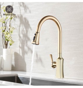 Brushed Gold  Kitchen Faucet Pull Out 2 Function Head Kitchen Sink Mixers Deck Mounted Spring Kitchen Mixer Faucet