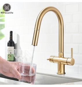 Brushed Gold Kitchen Faucet Pure Faucet Pull Out Filtered Faucet Dual Handle Hot&Cold Drinking Water Mixer Taps