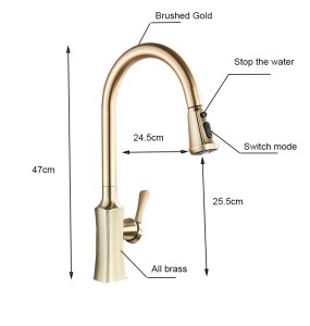 Brushed Gold  Kitchen Faucet Pull Out 2 Function Head Kitchen Sink Mixers Deck Mounted Spring Kitchen Mixer Faucet