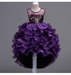 Embroidery Baby Girls Princess Flower Wedding Christmas Party Tutu Dress Children Kids Elegant Vestidos for 3-15Years Teenager