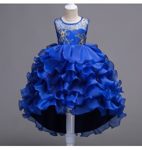 Embroidery Baby Girls Princess Flower Wedding Christmas Party Tutu Dress Children Kids Elegant Vestidos for 3-15Years Teenager