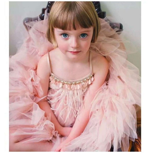 Big Size 2-12Yrs Kids Dresses Girls Elegant Feather Tassels Girls Wedding Party Dress Girls Princess Ball Gown Dresses Clothing