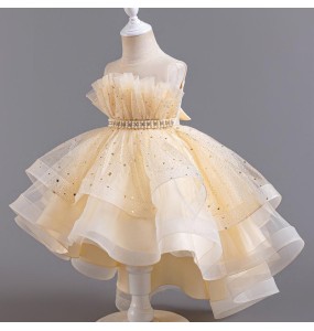 New Girl's Sequin Beaded Bow Drag Tail Mesh Fluffy Dress Wedding Flower Girl Birthday Party Fashionable Princess Dress